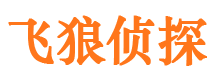 顺平飞狼私家侦探公司